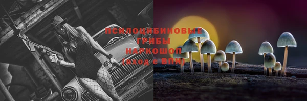 прущие крисы Балабаново