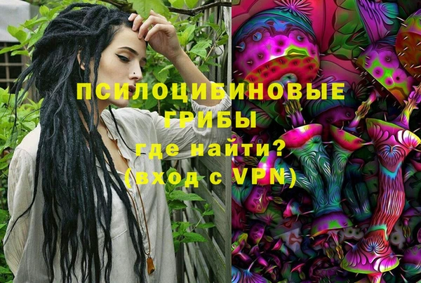 гашик Балахна
