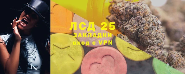 первитин Богданович